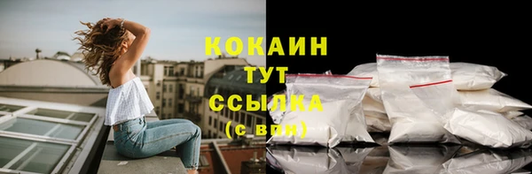 PSILOCYBIN Абаза