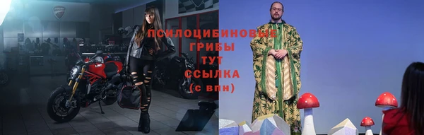 PSILOCYBIN Абаза