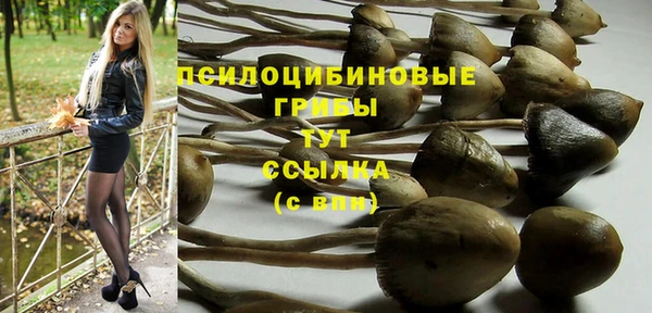PSILOCYBIN Абаза