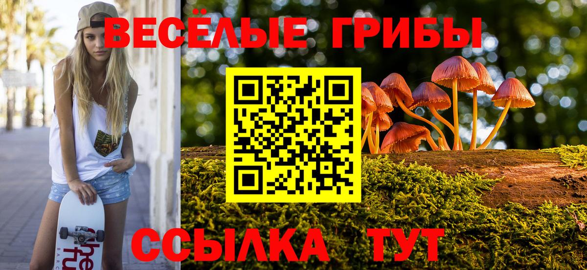 Псилоцибиновые грибы GOLDEN TEACHER Электросталь